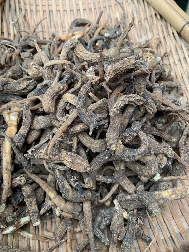 云南深山、传统滋补、老、山、参、现收农产品500g