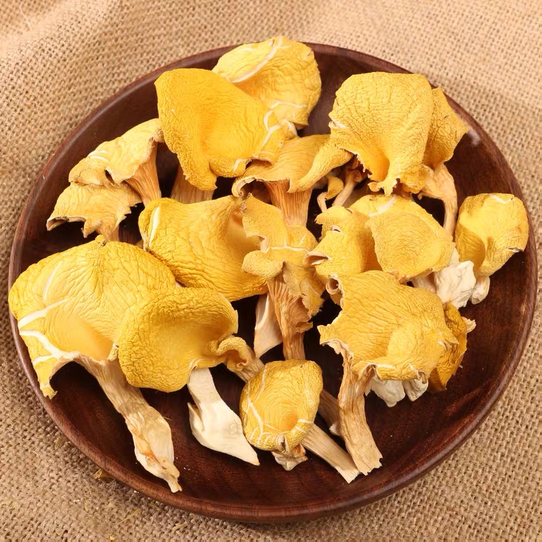 云南特产 鸡油菌 现收农产品500g
