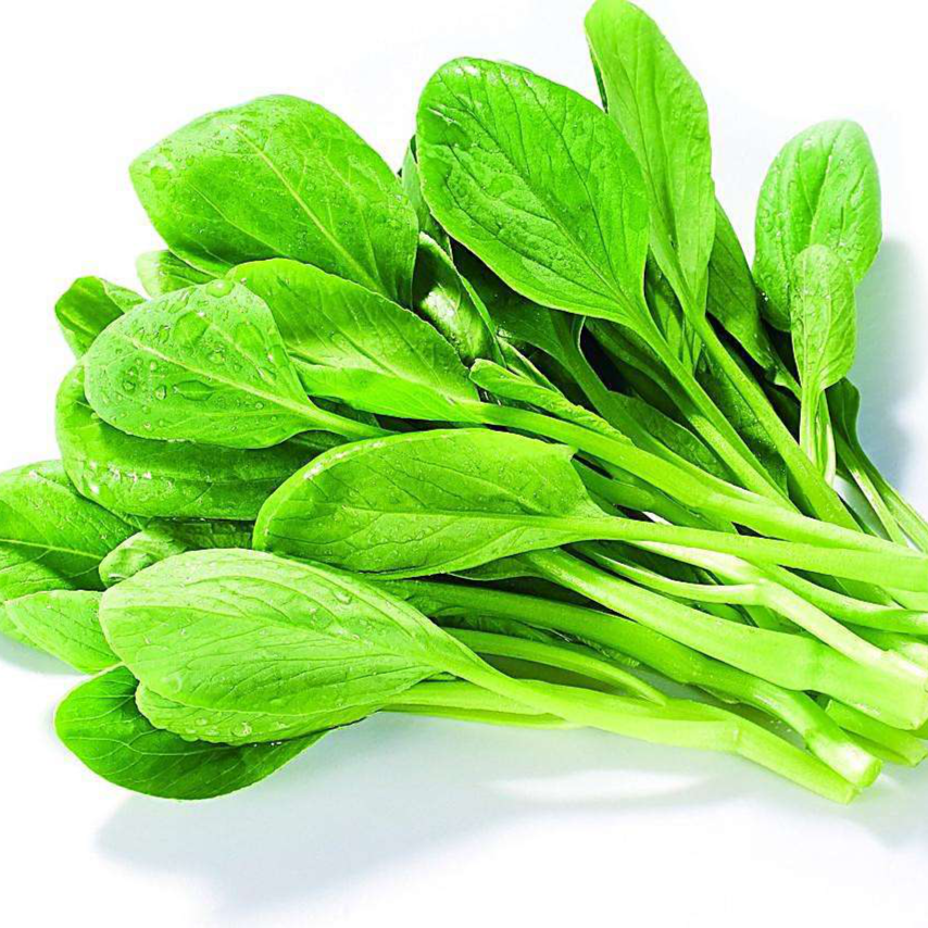 毛毛菜约300g/份