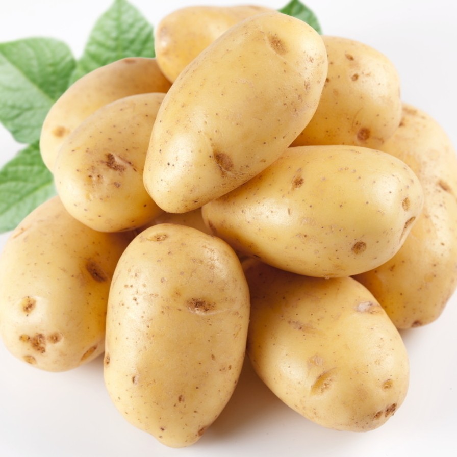 新鲜土豆约600g/份