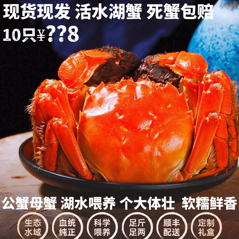 鲜活大闸蟹公蟹3.5-3.2两母蟹3.5-3.2两8只江苏湖水精品螃蟹礼盒