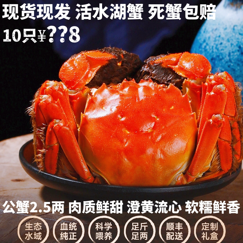 活蟹现发公蟹2.5两10只鲜活螃蟹生态河蟹精选螃蟹顺丰包邮