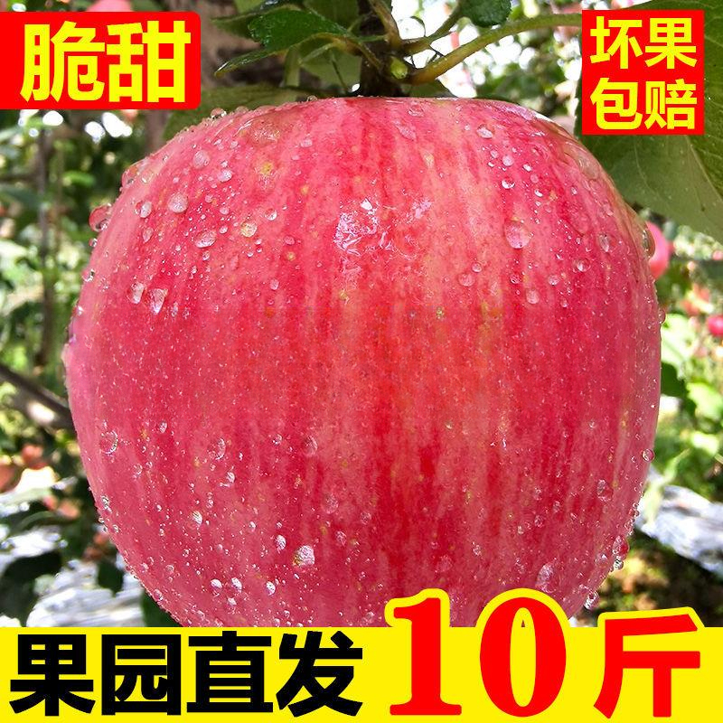 陕西脆甜高原红富士当季应季新鲜水果10斤整箱冰糖心丑苹果/5斤