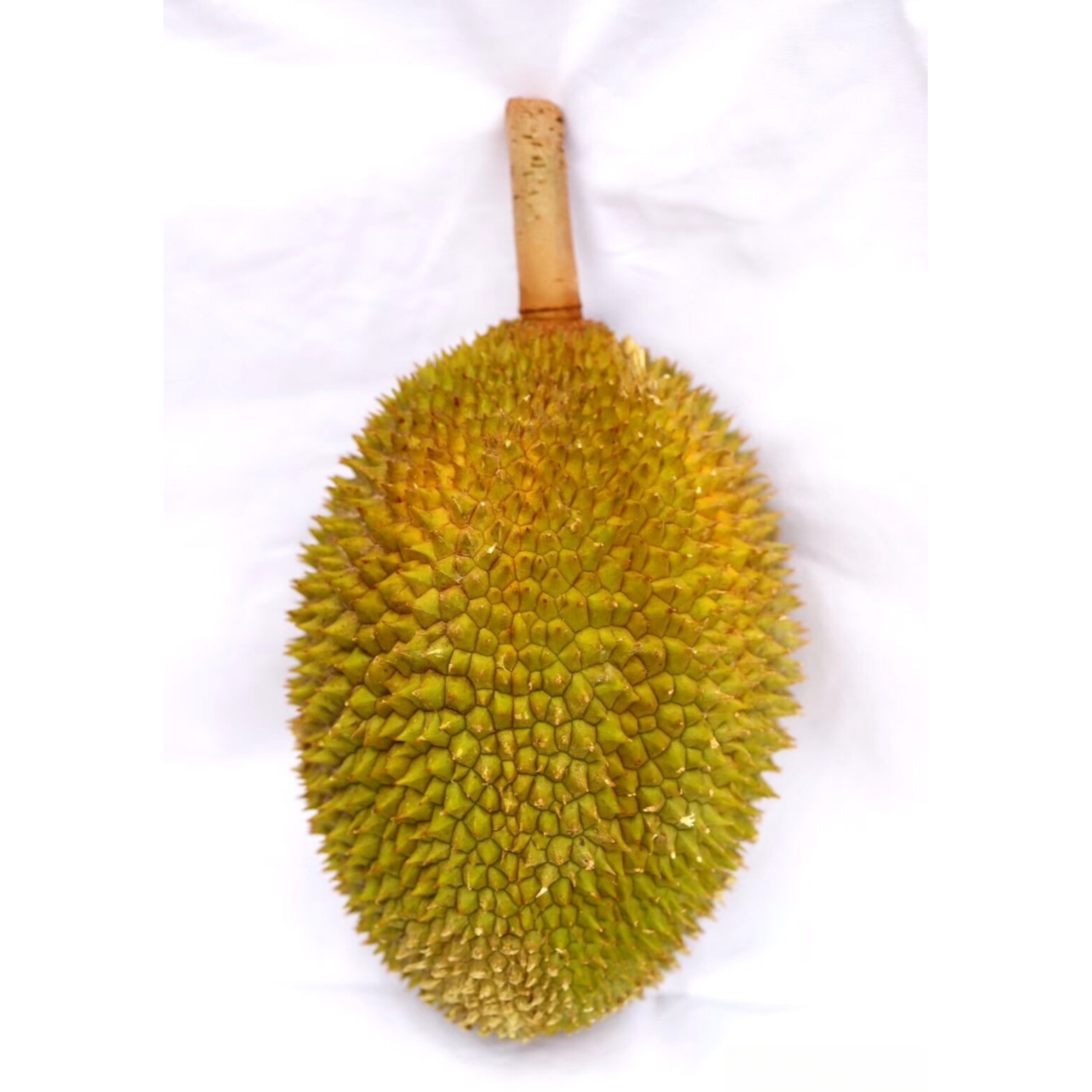 一物一拍马来西亚进口 竹脚 葫芦 金凤 江海新鲜榴莲当季新货