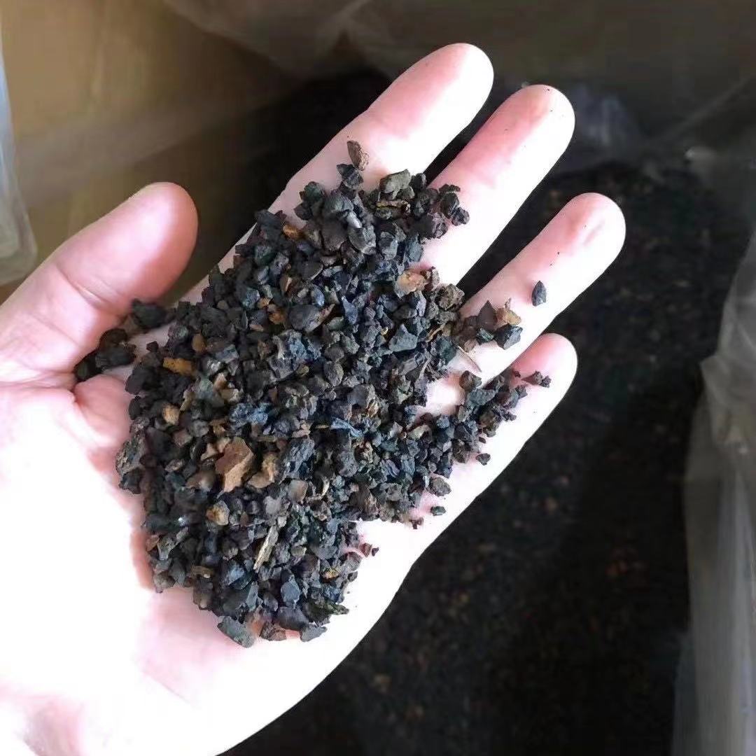 小雪优选（桦树黑金颗粒250克）菌菇黑金颗粒