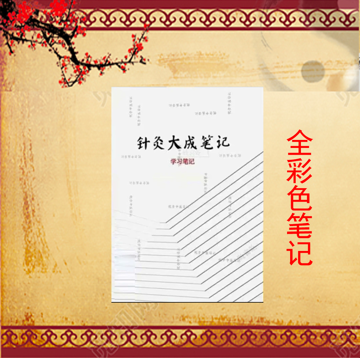 ni师人纪中医针灸大成笔记全彩