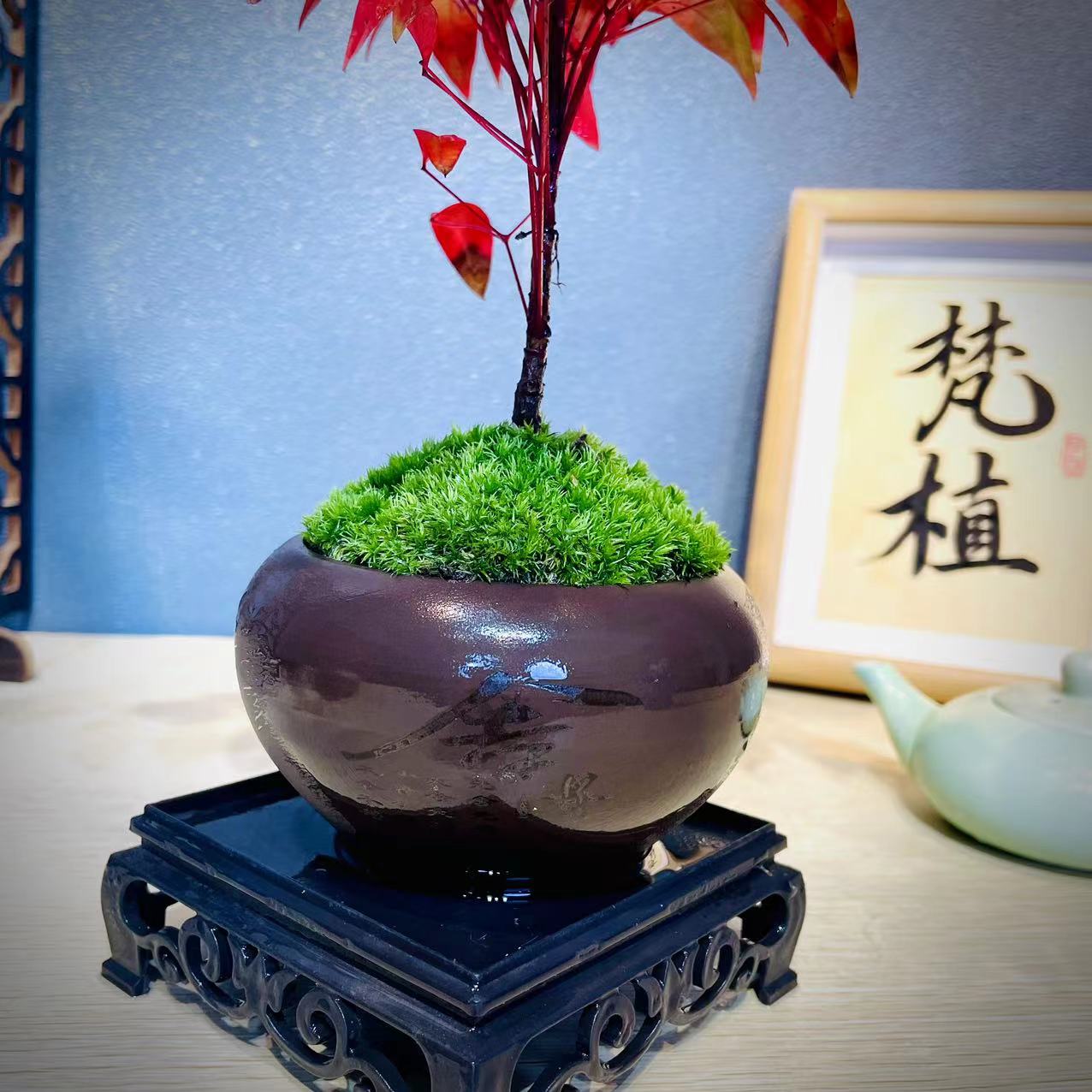 花盆+苔藓+造景+底座+黑纱