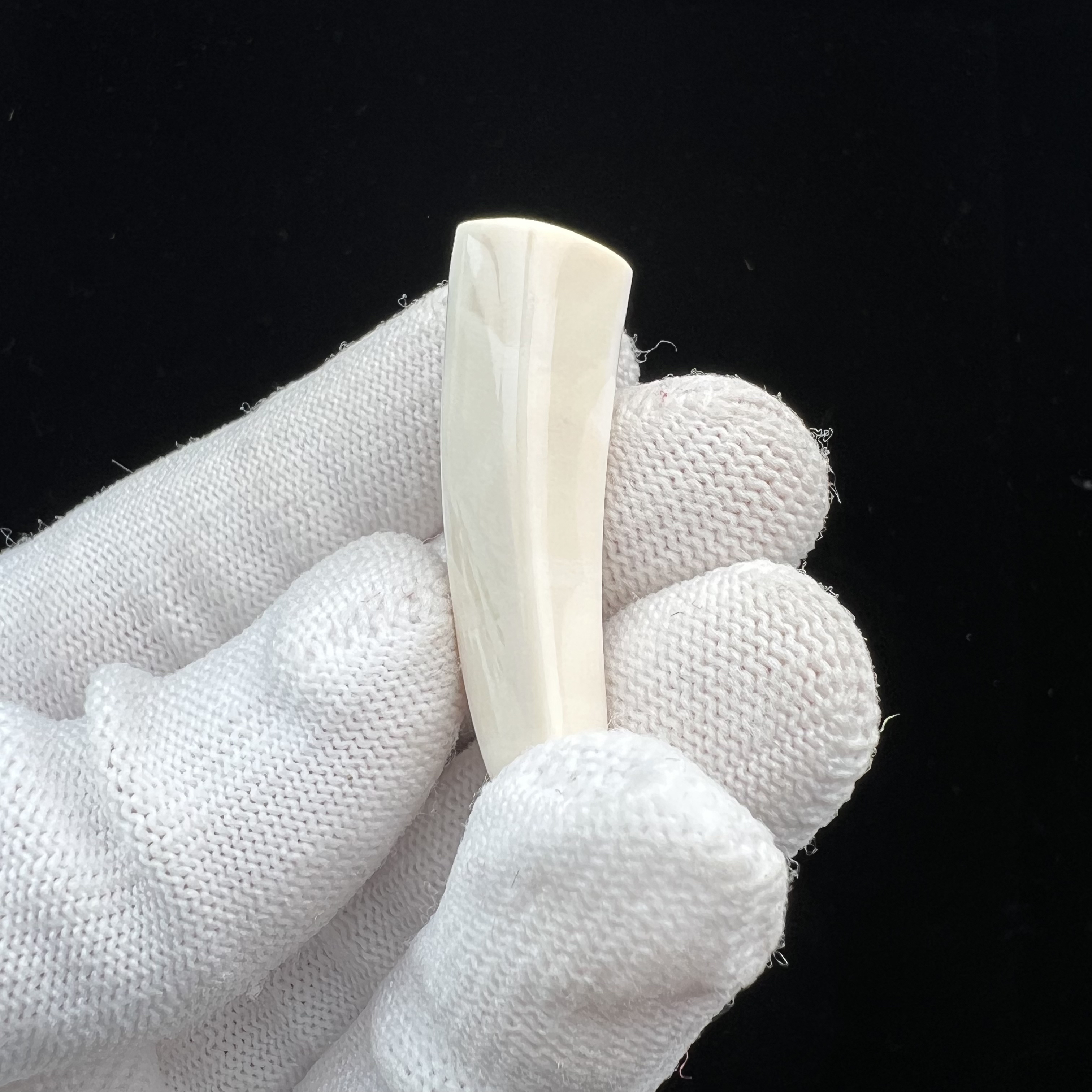 D2531 天然猛犸牙 牙尖 11.3*39.4mm支持鉴定 假一罚四