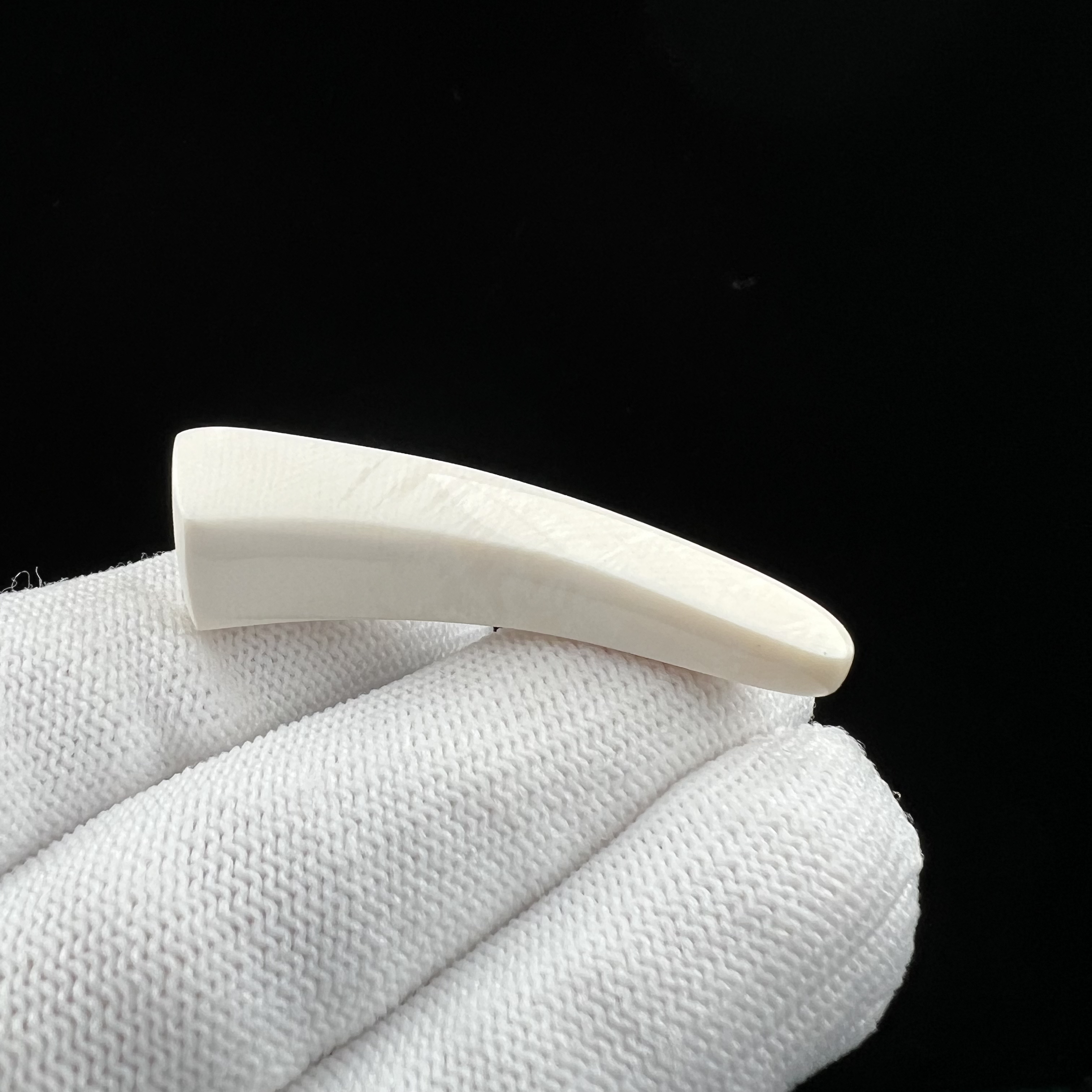 D2527天然猛犸牙 牙尖 11.2*45mm支持鉴定 假一罚四