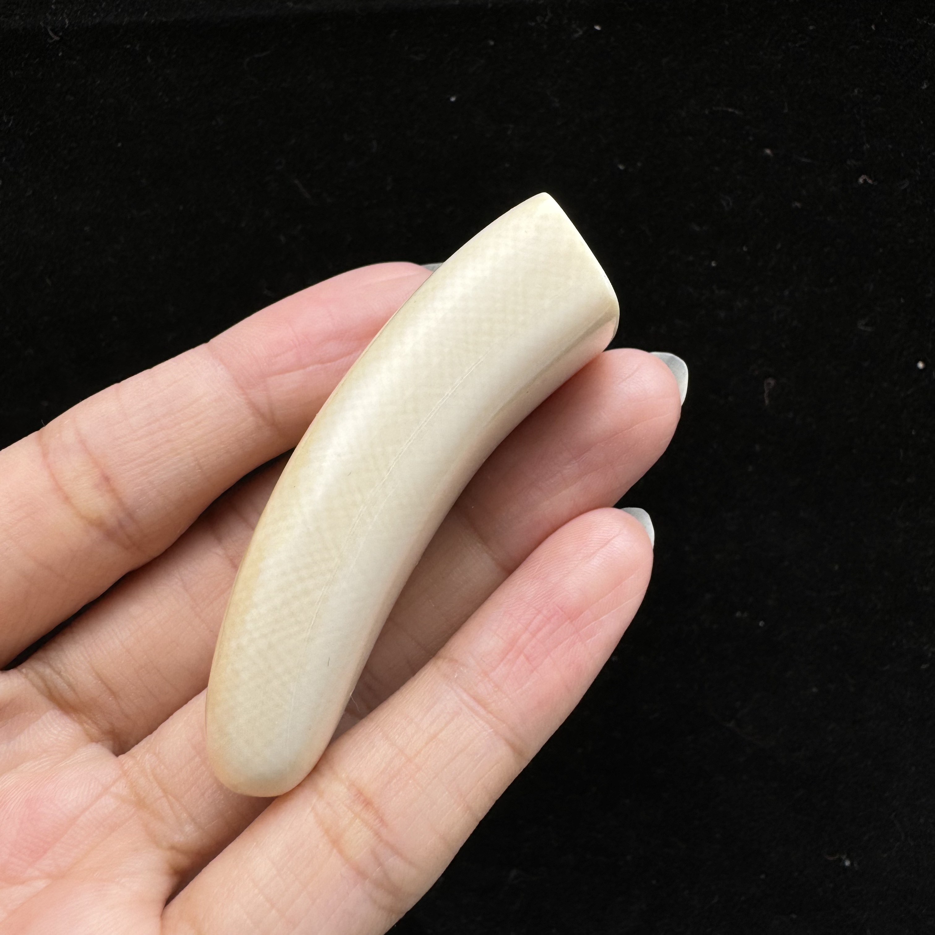 D8189-T071天然猛犸牙素牙尖19.6*58 mm支持鉴定