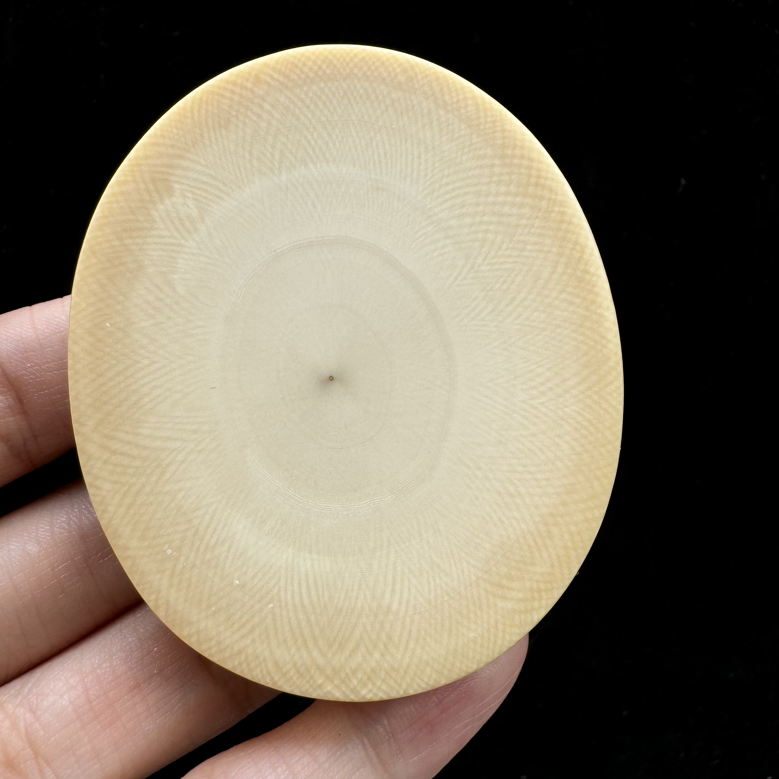 K1160天然猛犸牙饼子54*64*12mm  支持复检假一罚四
