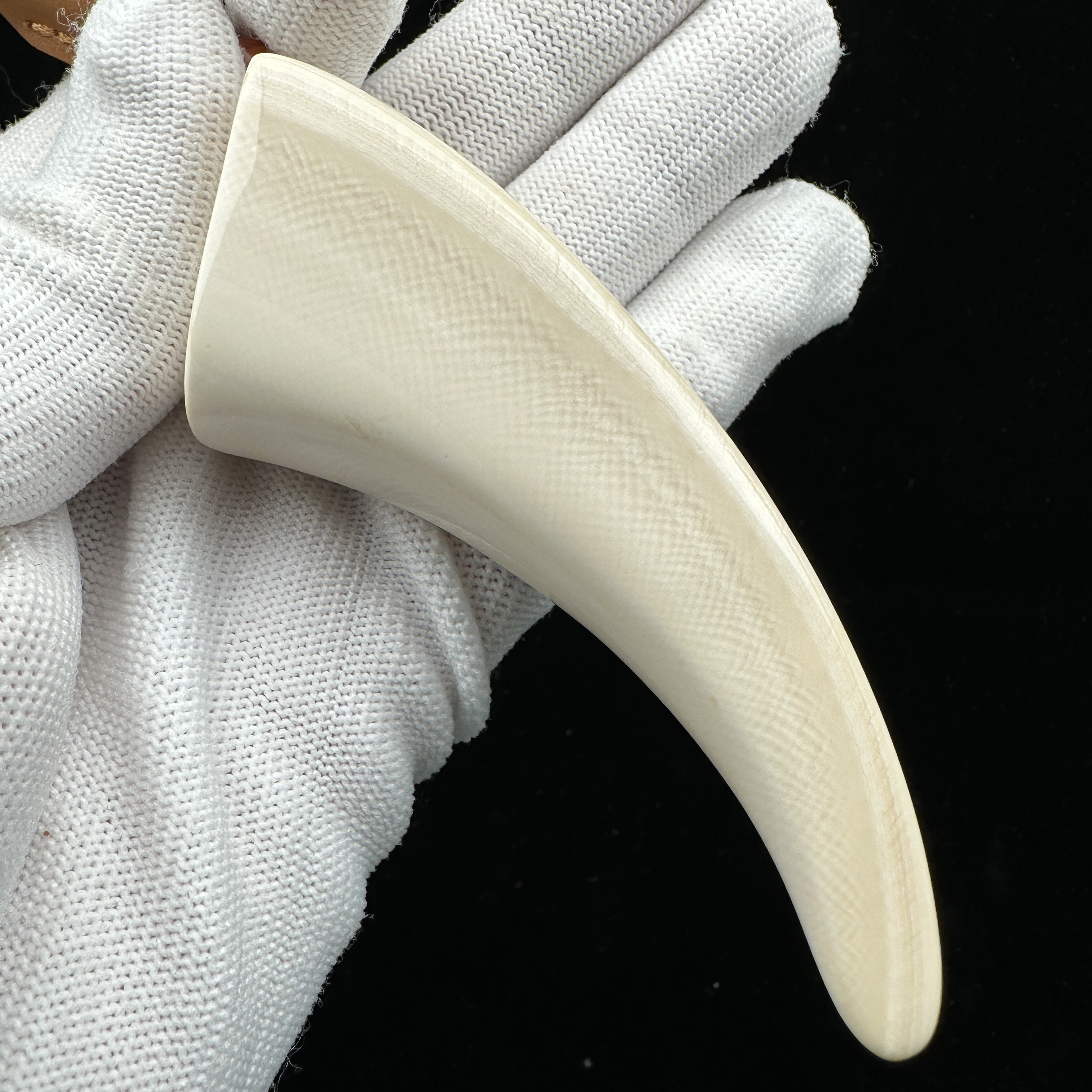 D2713天然猛犸牙 牙尖 92mm支持鉴定 假一罚四