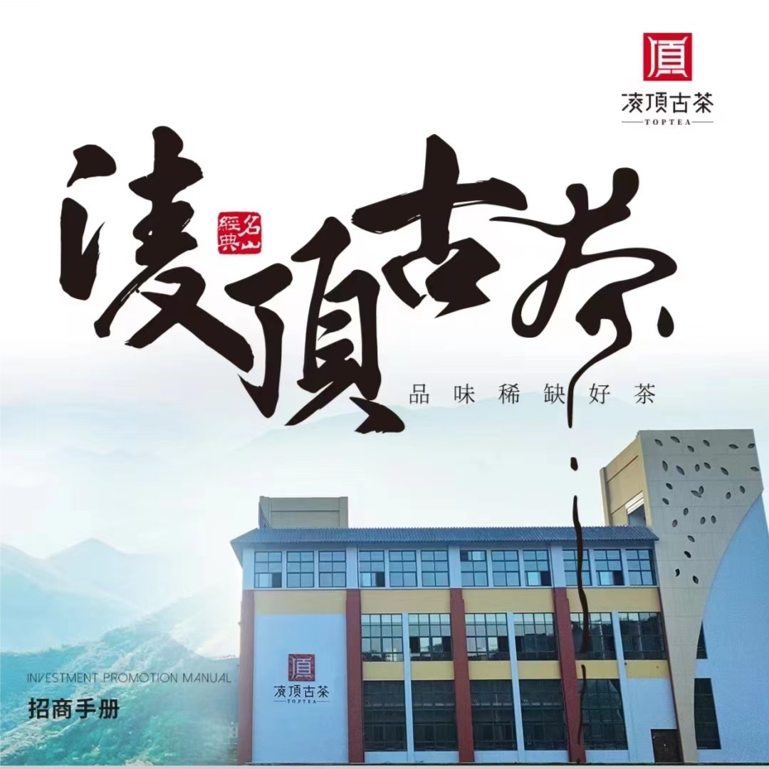 凌顶代拍（海底捞昔归古树普洱茶生散茶）福利 2025.2.23