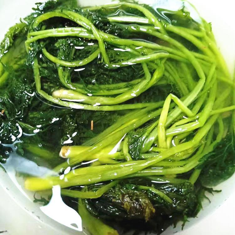 东北芥菜樱子咸菜农村大缸芥菜英子缨子咸菜雪里红炖豆腐笋1g