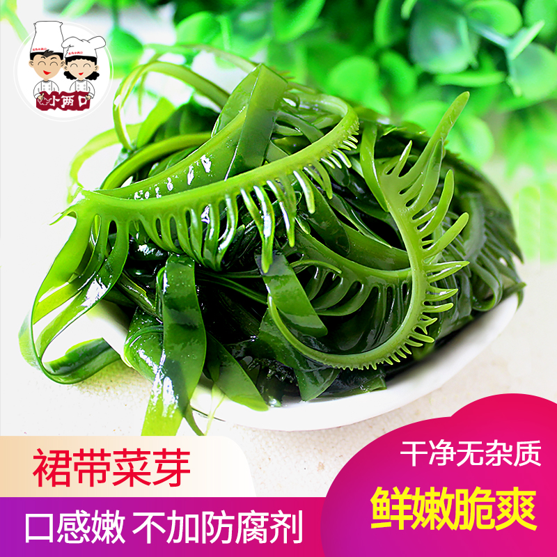 盐渍裙带菜芽500g新鲜无沙螺旋藻芽苗菜海裙菜山东特产酒店用海藻