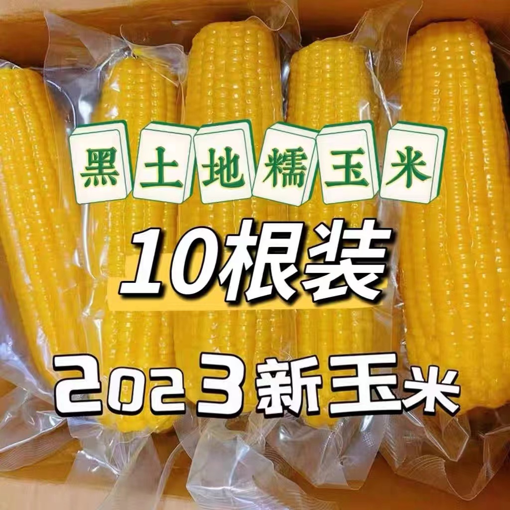 【秋季新摘】2023头茬东北黄糯玉米10根装香甜黏糯粘新鲜非转基因