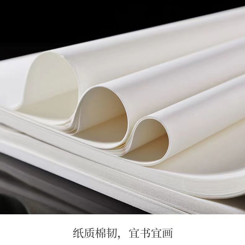 【14】Y45克 三尺 古法檀皮白色【宜书 宜画 作品专用50厘米X100厘米