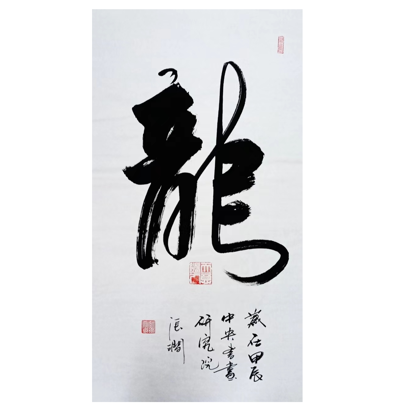 龙  张涧院士书法