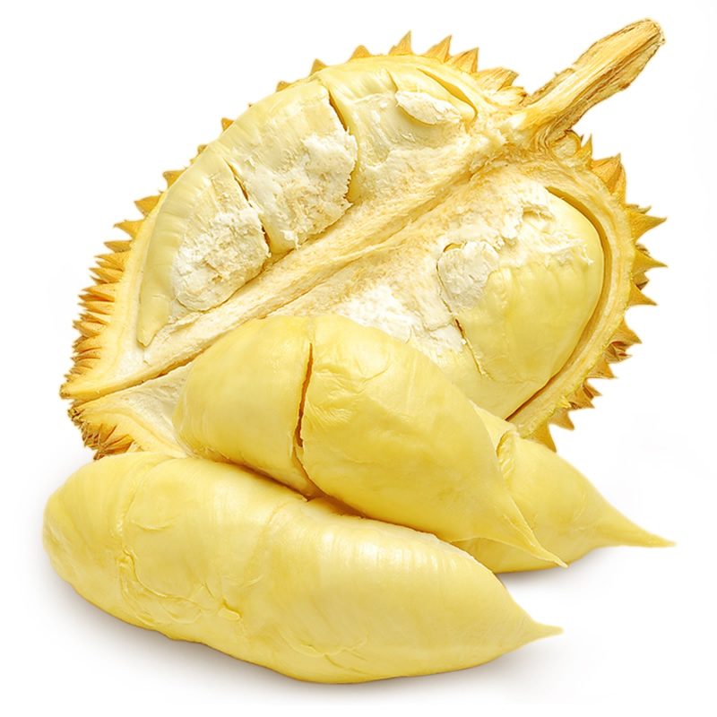 【默认不开果】金枕榴莲现场打称4-5斤小时达