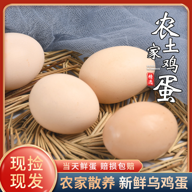 农家土鸡蛋山林散养鲜鸡蛋笨鸡蛋柴鸡蛋当天蛋当天发