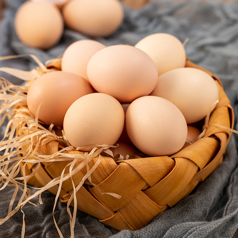 谷物喂养农家散养新鲜土鸡蛋当日捡当日发