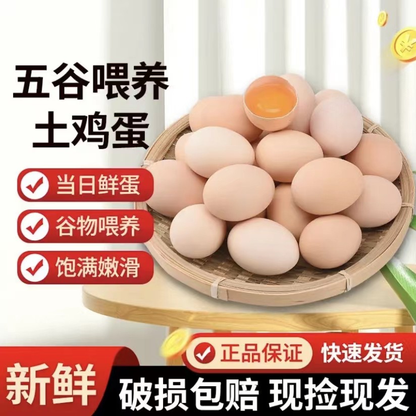 正宗农家散养虫草蛋新鲜土鸡蛋草鸡蛋现捡现发破损管赔