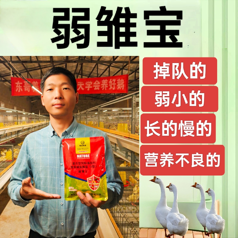 弱雏宝鸭鹅添加剂型饲料