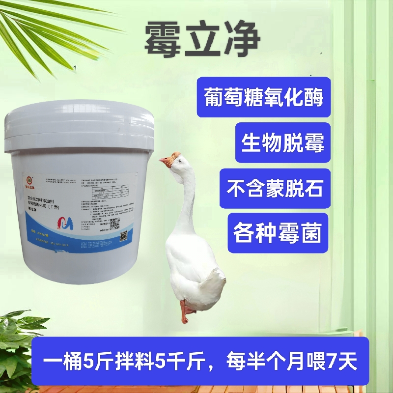 霉立净桶装脱霉剂5斤