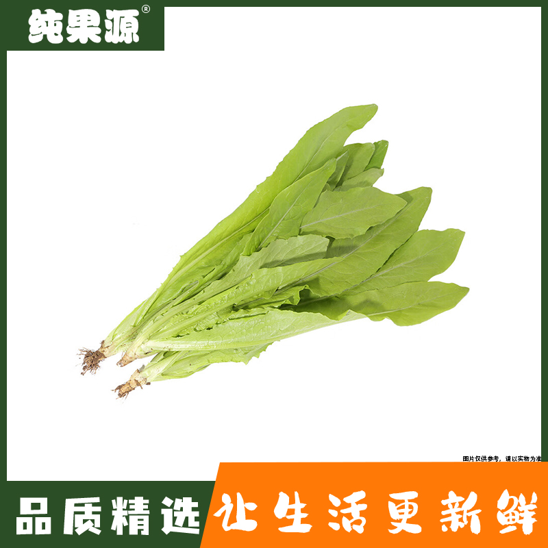 【纯果源】油麦菜 约500g
