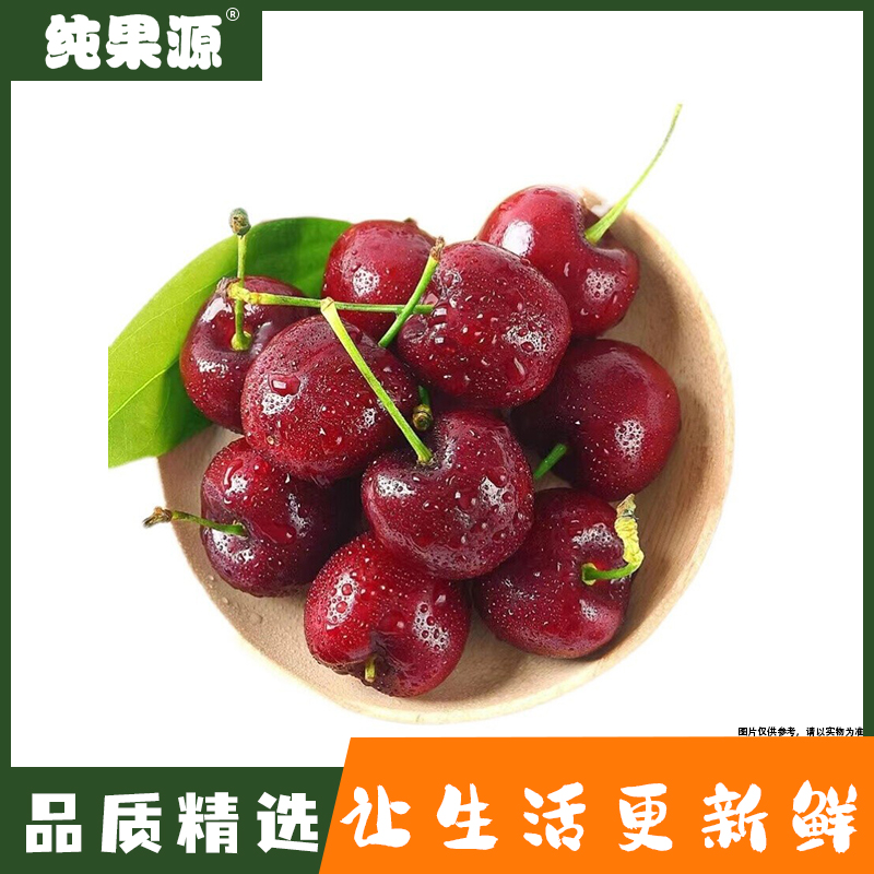 【纯果源】都乐（2JJ）进口智利车厘子原装进口 5斤装