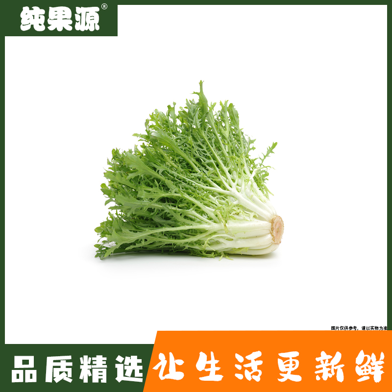 【纯果源】苦苣 约250g