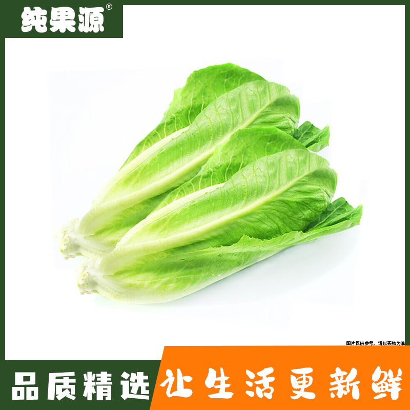 【纯果源】罗马生菜 约500g
