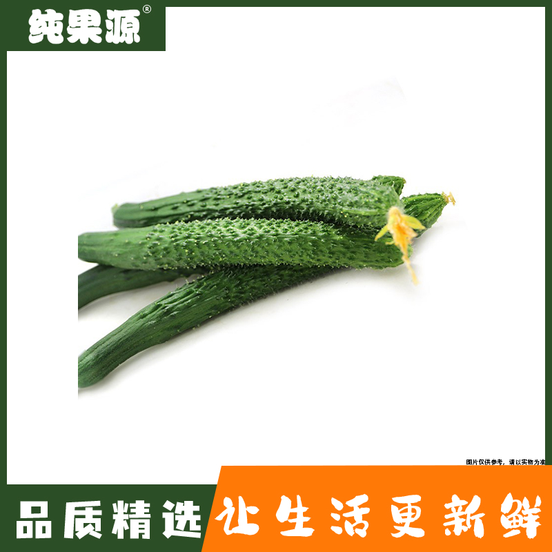 【纯果源】黄瓜 约500g
