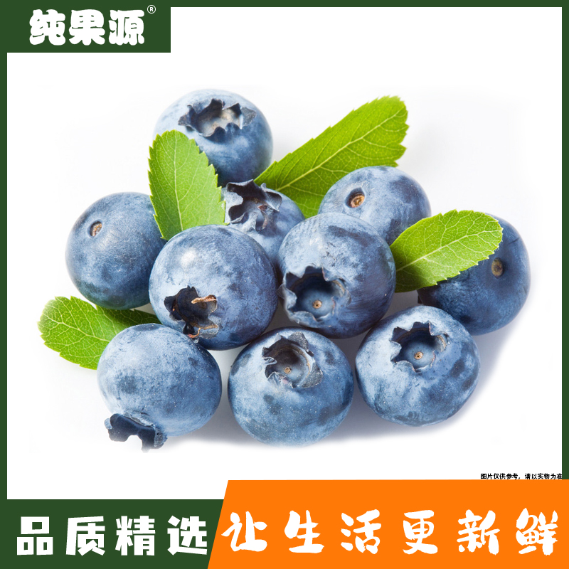 【纯果源】蓝莓盒装120克