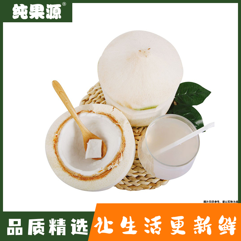 【纯果源】易开椰一颗装