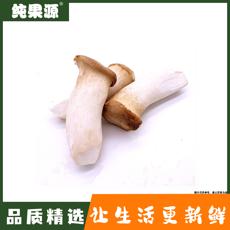 【纯果源】杏鲍菇 一袋