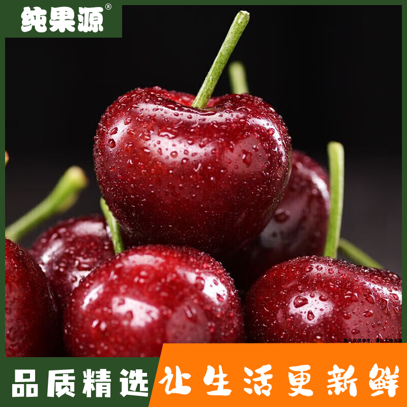 【纯果源】特价车厘子约500g