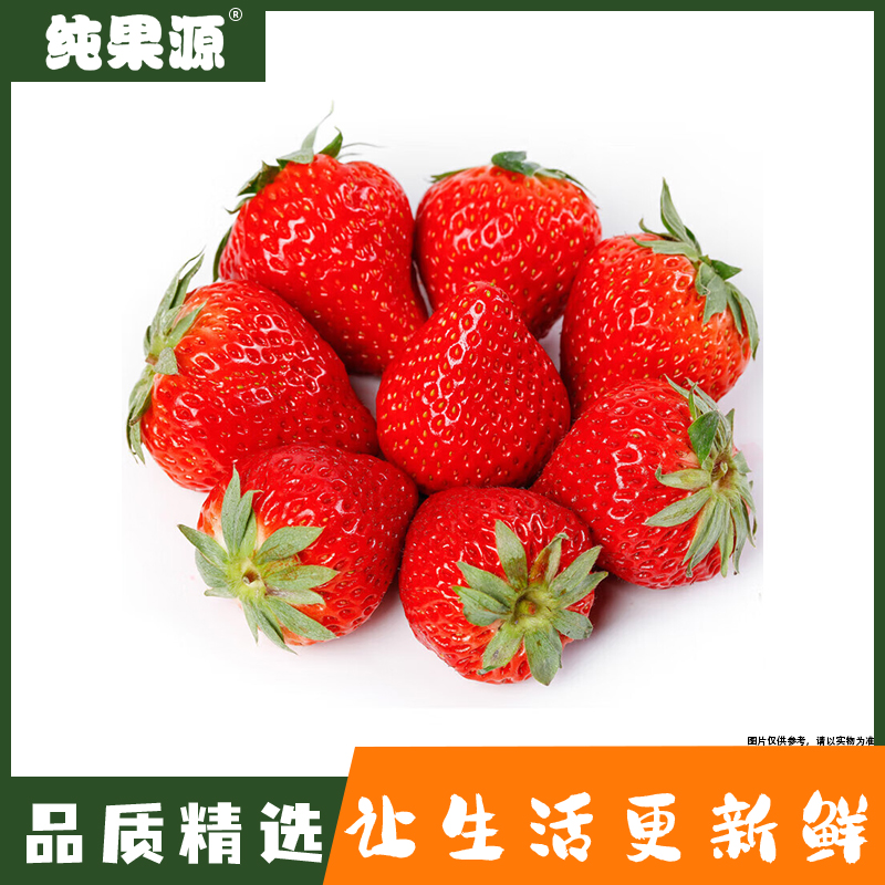 【纯果源】丹东久久草莓约1斤-整板约4.5斤-4.7斤