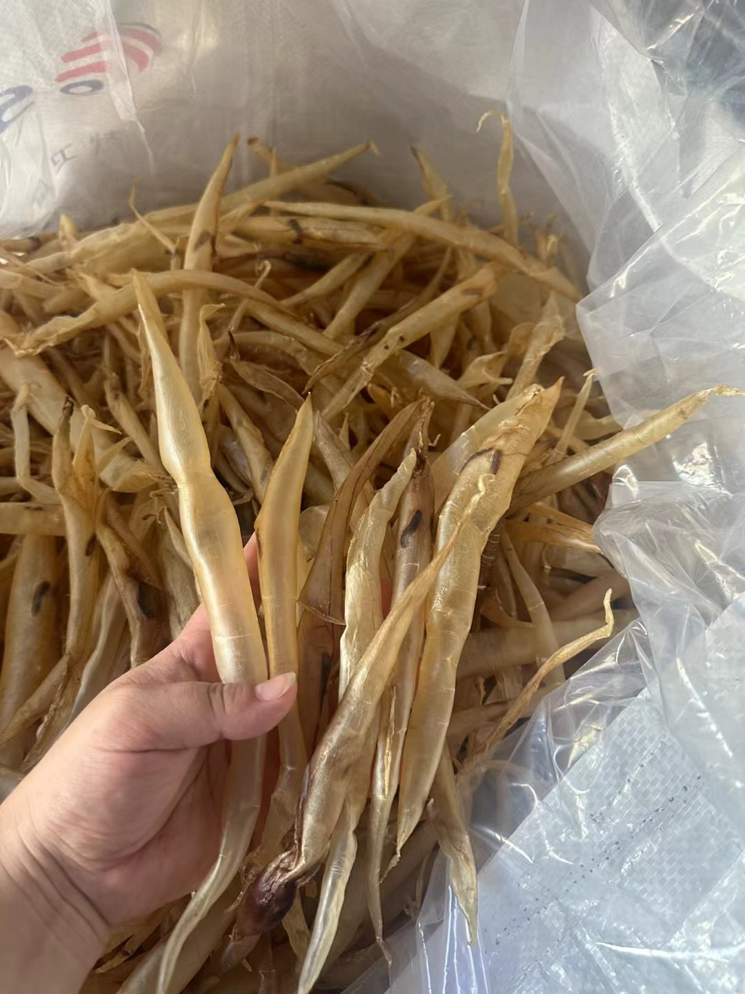 广东潮汕 惠来神泉 小鳗鱼鳔