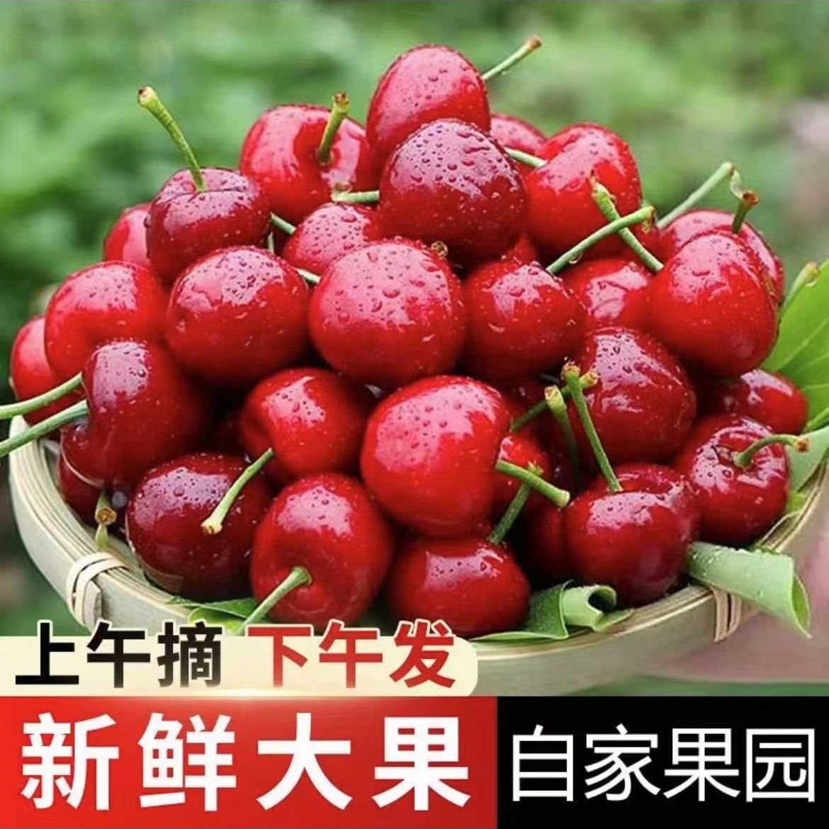 【到手3斤】先锋烟台大樱酸甜新鲜水果国产车厘子应季整箱泊小稳新1