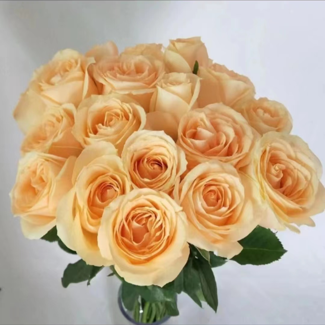 【香槟10支+橙芭比多头玫瑰3支+洋桔梗+配草】云南基地直发