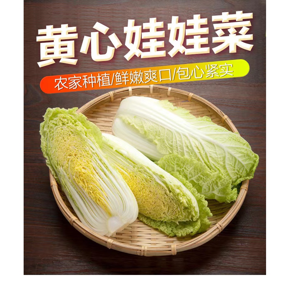 【现砍现发】自种新鲜精品娃娃菜火锅食材蔬菜5斤农家自种多汁TC