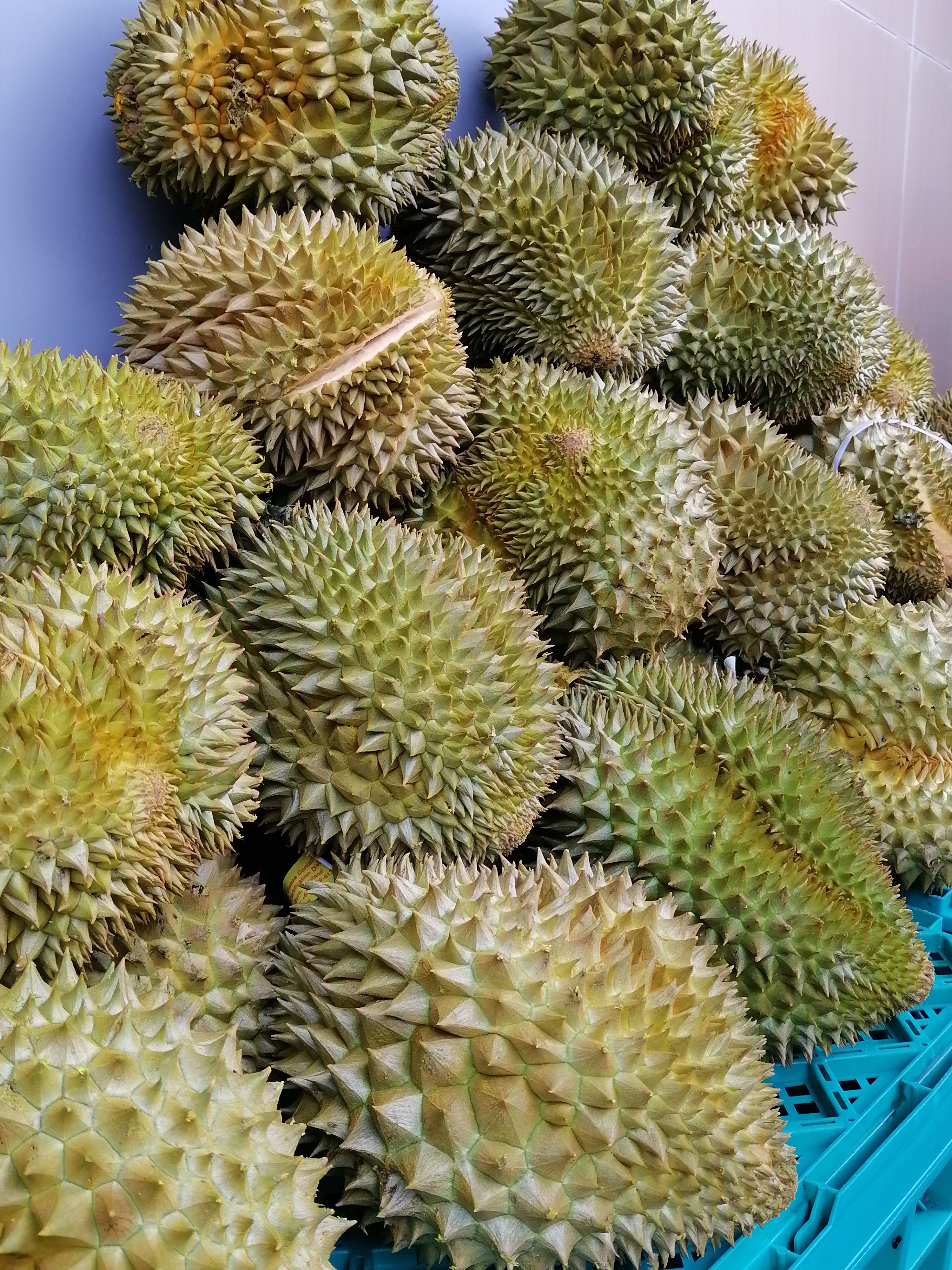 金枕榴莲鲜果（直播现开现称）