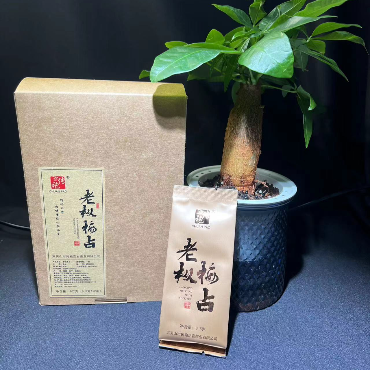 传袍正岩 老枞梅占  名丛