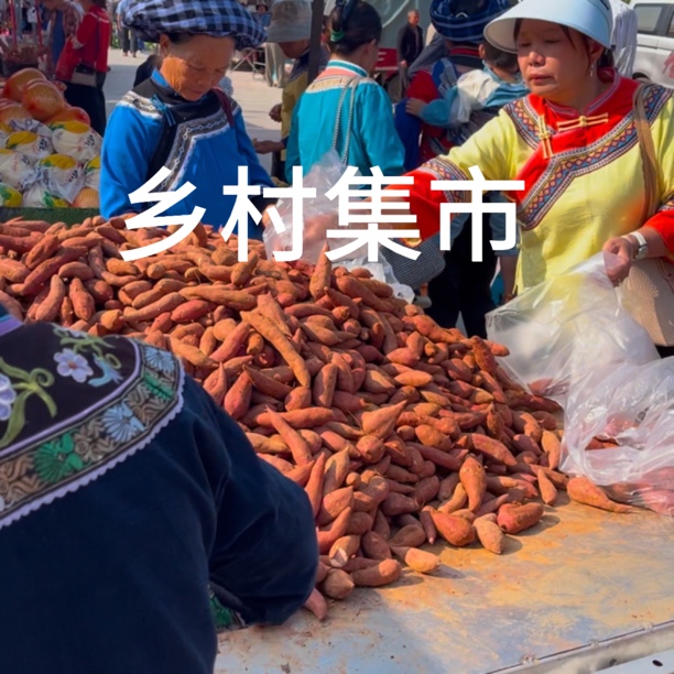 乡村集市农产品（助农产品请勿中差评）