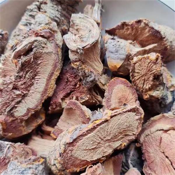 【直播专享】潮汕地方特产野生柯校采摘树根穿山龙纯根