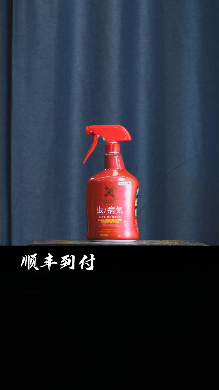 【闪购商品】1大红瓶