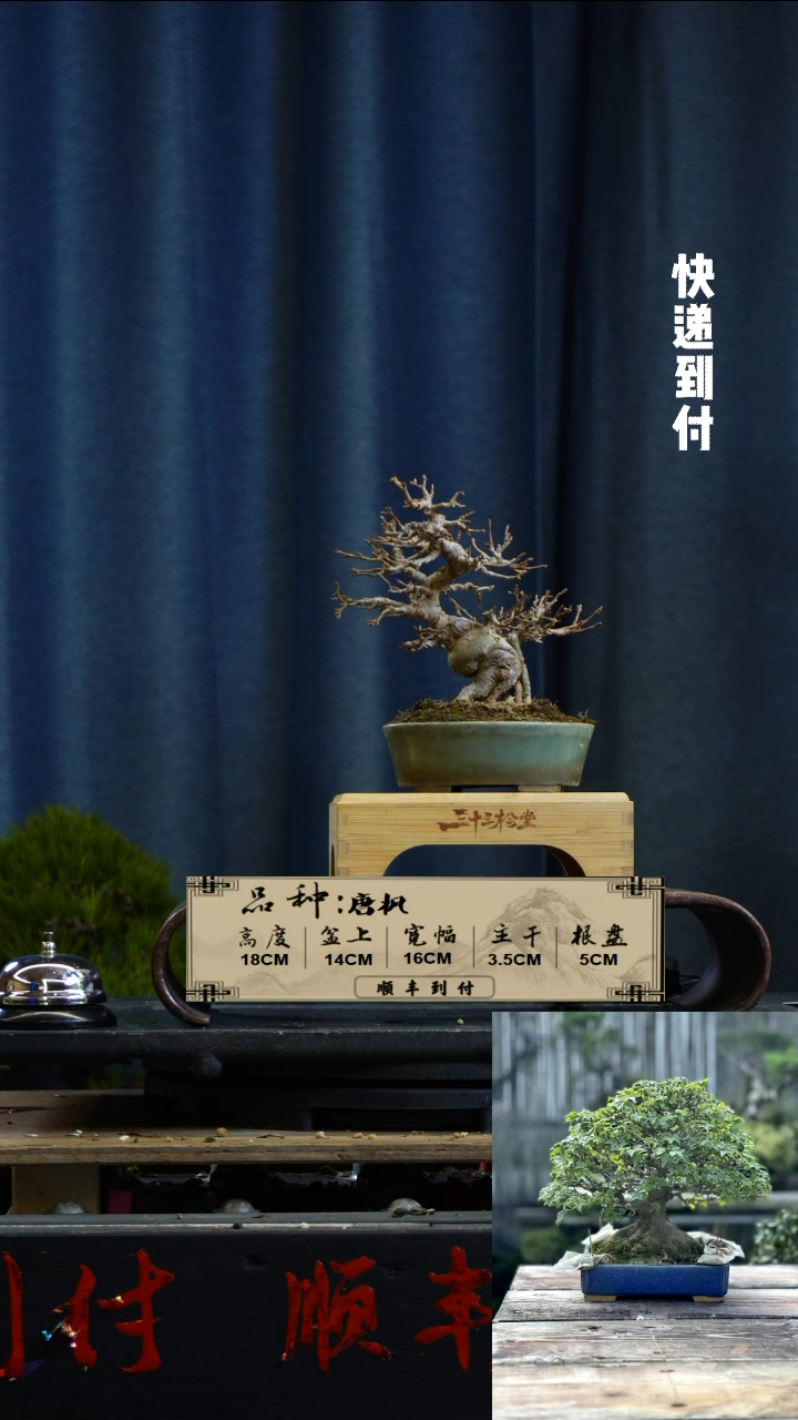 【闪购商品】F980唐枫bubaoyou