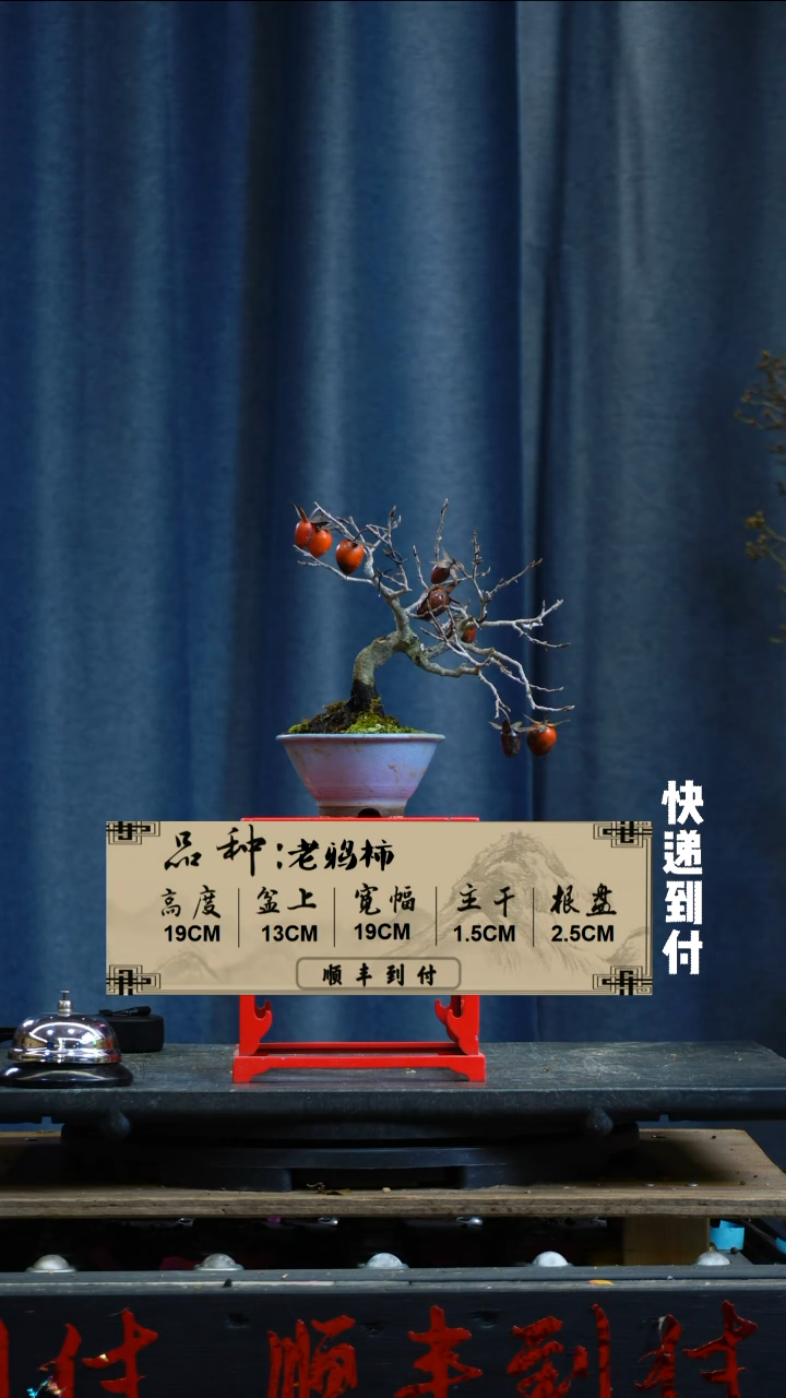 【闪购商品】F874老鸦柿BUBAOYOU