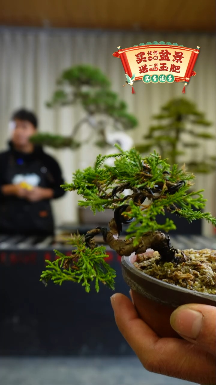 【闪购商品】x45系鱼川bubaoyuo